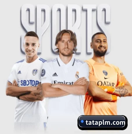 华体会体育app的方向